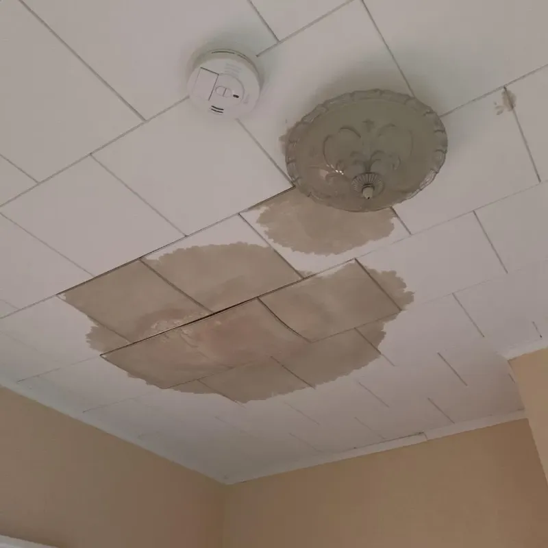 Ceiling Water Damage Repair in Pinardville, NH